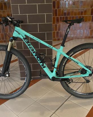 Bianchi Methanol 29.5 SX Carbon con documenti