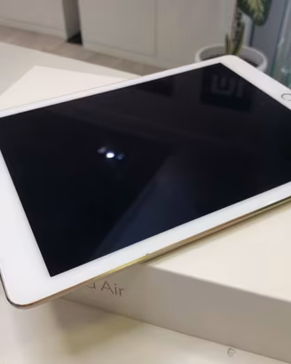 iPad Air 2 Usato con Garanzia