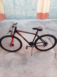 Bicicletta in Alluminio 