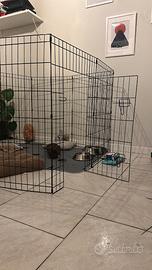 Recinto Cuccioli Playground Pet Around You