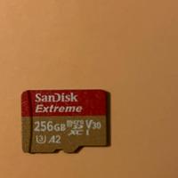 Scheda Micro Sd Sandisk 258GB A2