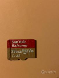 Scheda Micro Sd Sandisk 258GB A2