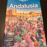 Libro Guida Lonley Planet Andalusia