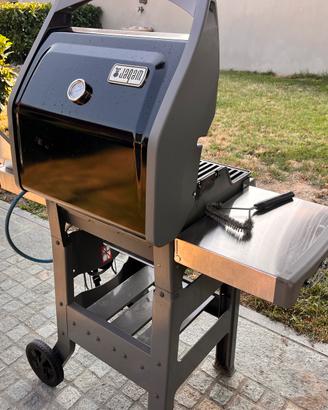 Barbecue a Gas Weber Spirit Ii E-220 GBS