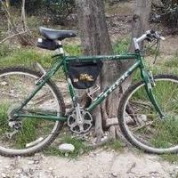 Mountain Bike Trek
