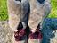 Immagine 1
