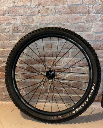 Giant am 29 anteriore