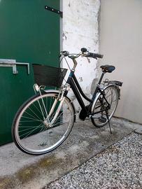 bicicletta da donna 