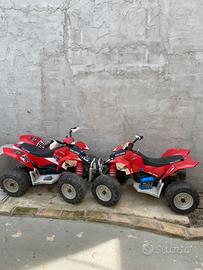Quad peg perego