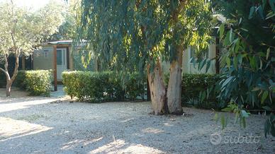 Soluzione a Punta Prosciutto 200 mt spiaggia