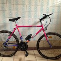 Bicicletta MTB