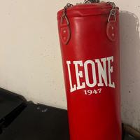 Sacco Leone 30 kg