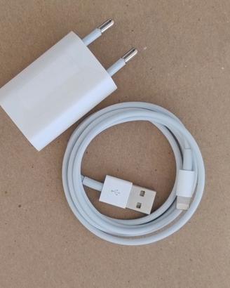 Alimentatore iPhone