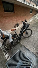 Bici Elettrica Electrianima Pro