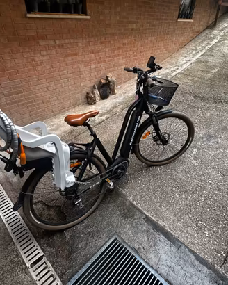 Bici Elettrica Electrianima Pro
