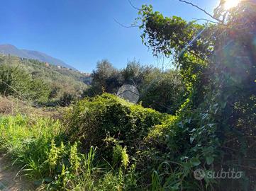 TER. AGRICOLO A PALOMBARA SABINA