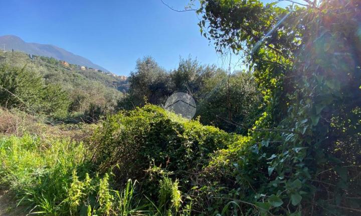 TER. AGRICOLO A PALOMBARA SABINA