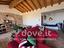 Immagine 8