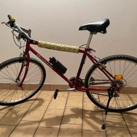 Bicicletta Bianchi mountain bike anni 90