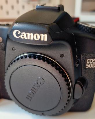 Canon EOS 50D + Tamron 18-270mm VC