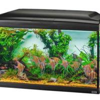 acquario ferplast cayman 110 