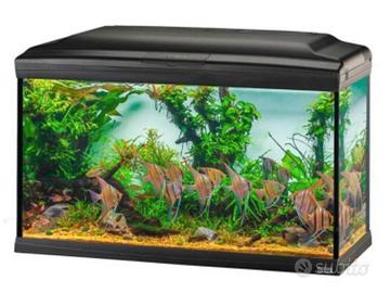 acquario ferplast cayman 110 