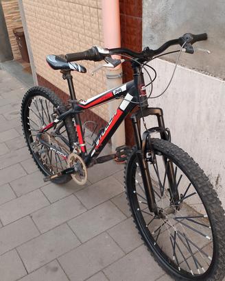 Stucchi 26