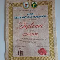 Diploma Giovani Marmotte Condor