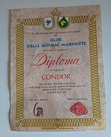 Diploma Giovani Marmotte Condor