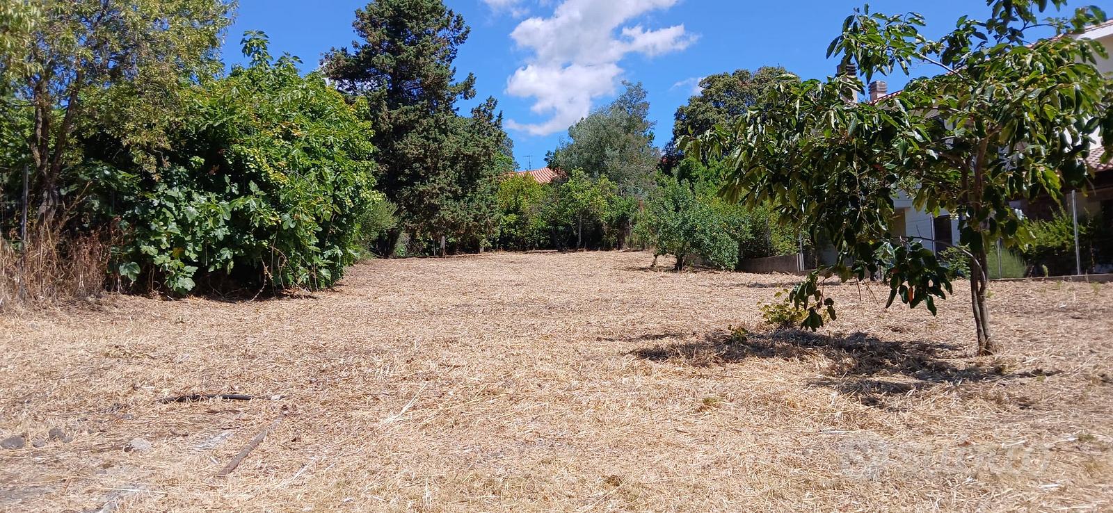 Terreno e casa due livelli - Vista 3