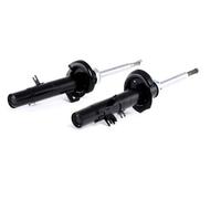 ammortizzatori anteriore citroen e peugeot 