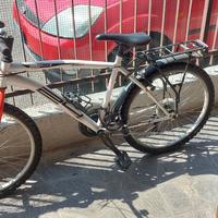 Bici ragazzo 24" cambio shimano