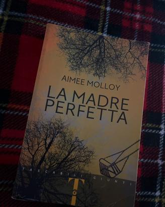 “Una madre perfetta”-Aimee Molloy