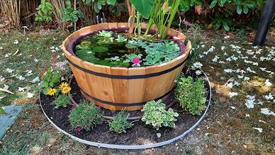 Laghetto con piante acquatiche