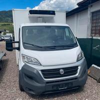 Fiat ducato con cella frigo