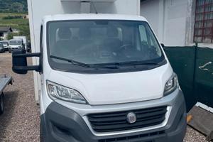 Fiat ducato con cella frigo