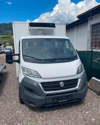 Fiat ducato con cella frigo