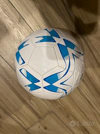 Pallone calcio
