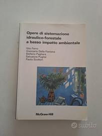 Opere di sistemazione idraulico-forestale a basso 