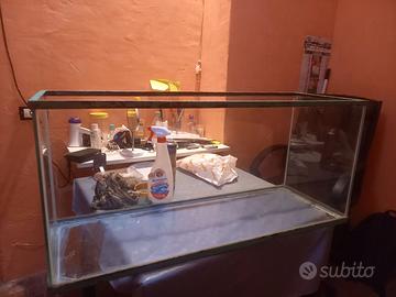 Teca rettili/tartarughe
