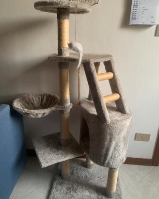 Tiragraffi gatto