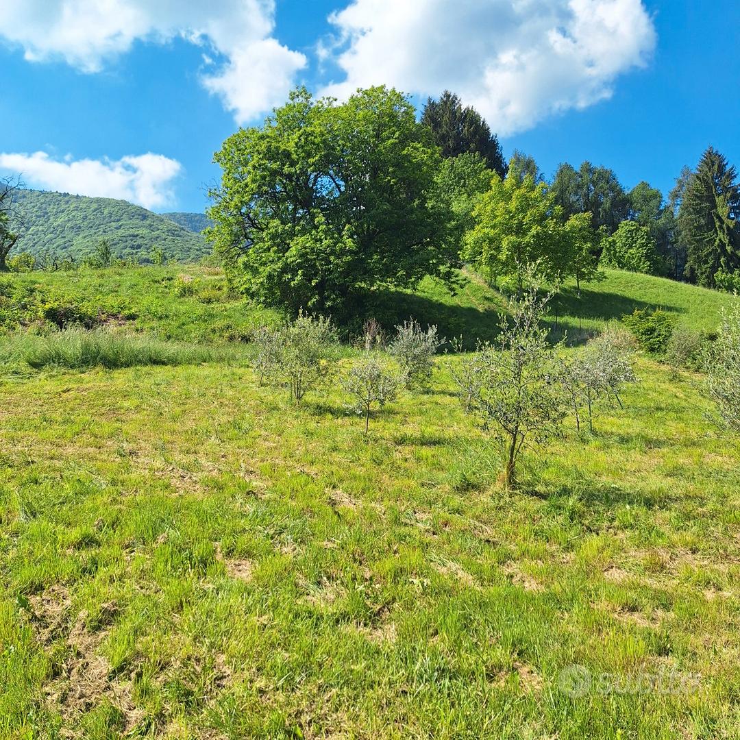 Terreno agricolo in Solto Collina - Vista 2