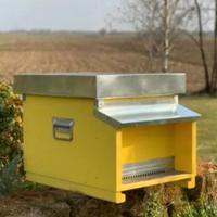 Terreni per apicoltura