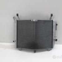 RADIATORE ACQUA YAMAHA FJR 1300 16-20
