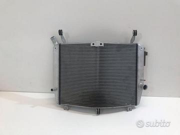 RADIATORE ACQUA YAMAHA FJR 1300 16-20