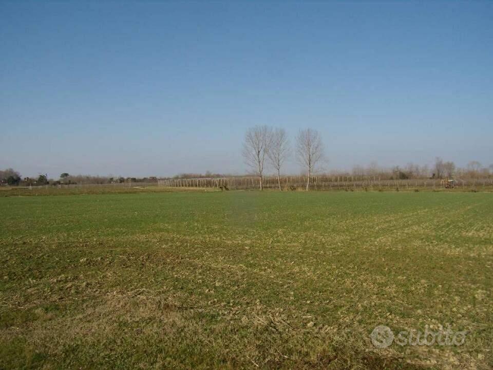 Immobile in asta di 46752 m² a Palazzolo dello Ste - Altro