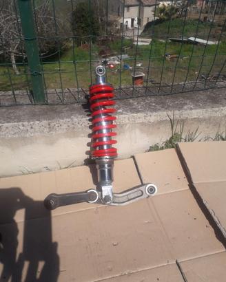 Mono ammortizattore quad