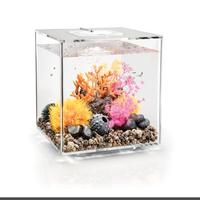 ACQUARIO BIORB CUBE 30 TRASPARENTE 