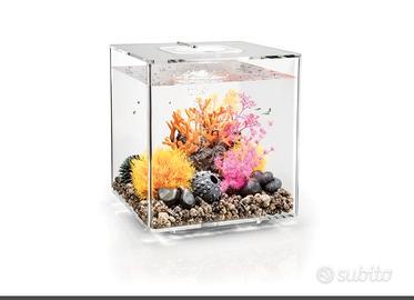 ACQUARIO BIORB CUBE 30 TRASPARENTE 