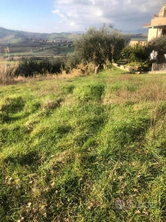 Immobile in asta di 15242 m² a Gradara - Vista 4